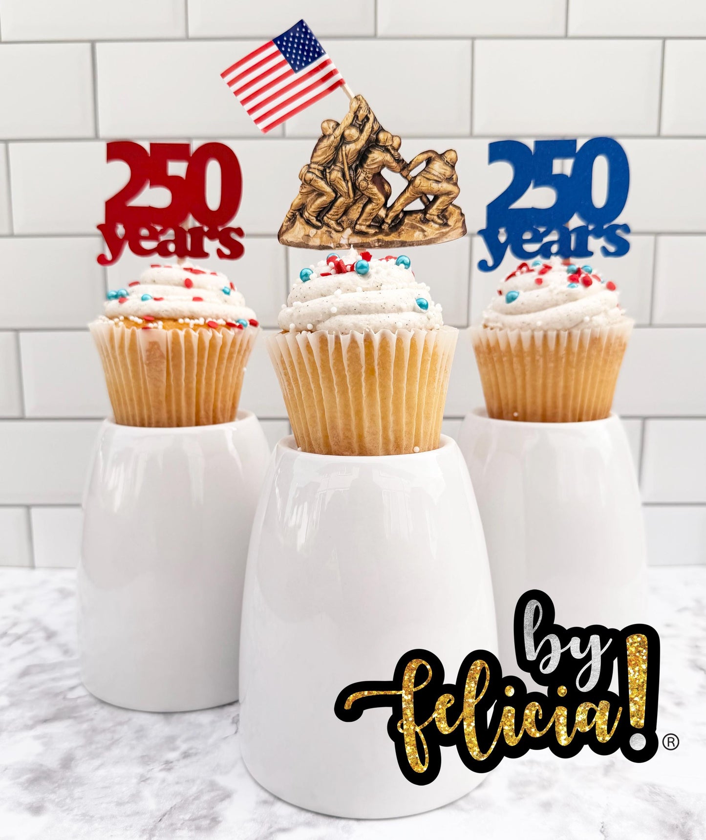 250th Marine Corps Birthday Cupcake Toppers: USMC Party Decorations
