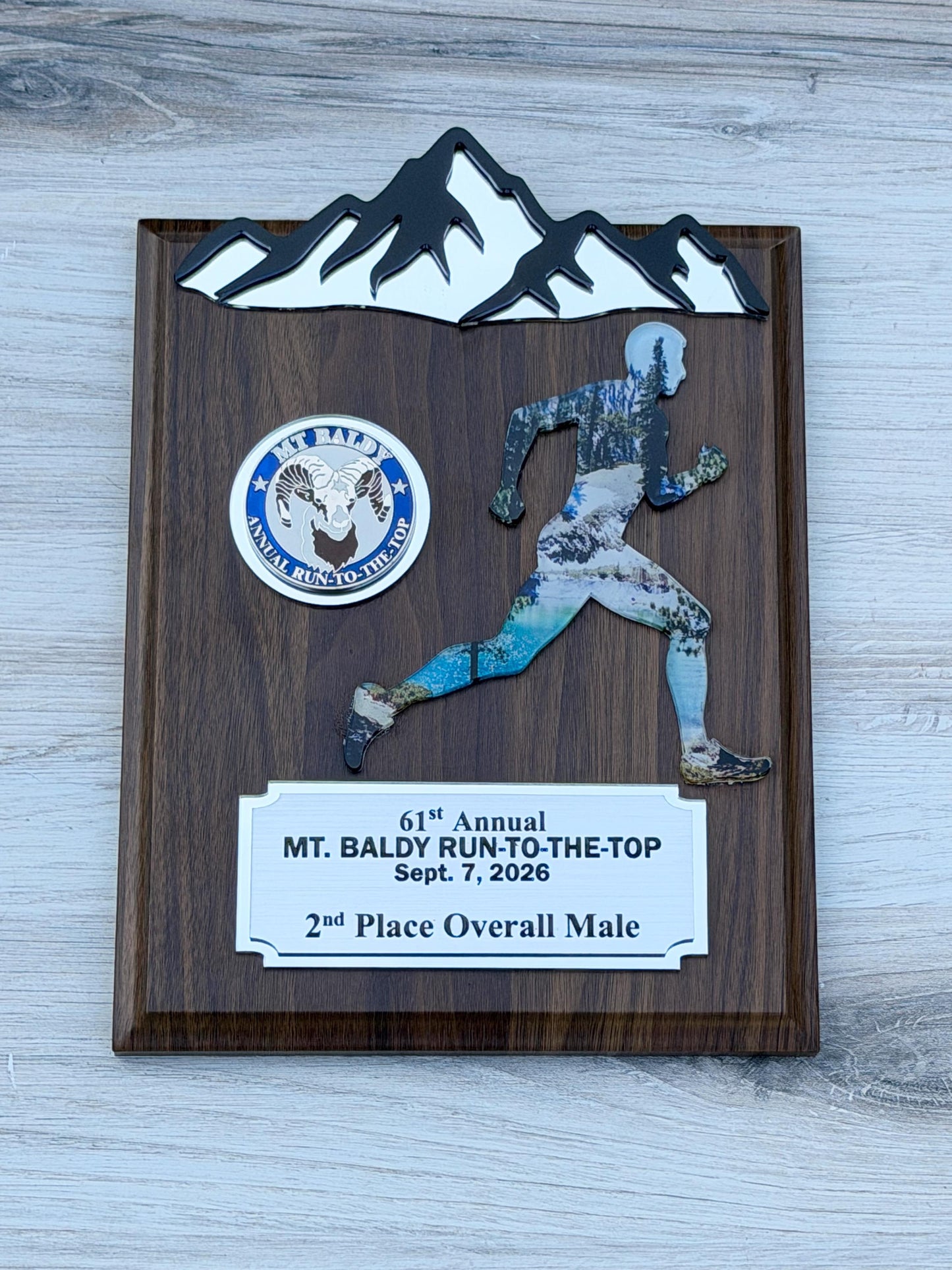 Runner Trophy, Runner award custom , Custum award trophy, Race award plaque, Award plaque custom, Awards and trophies, 1st place award