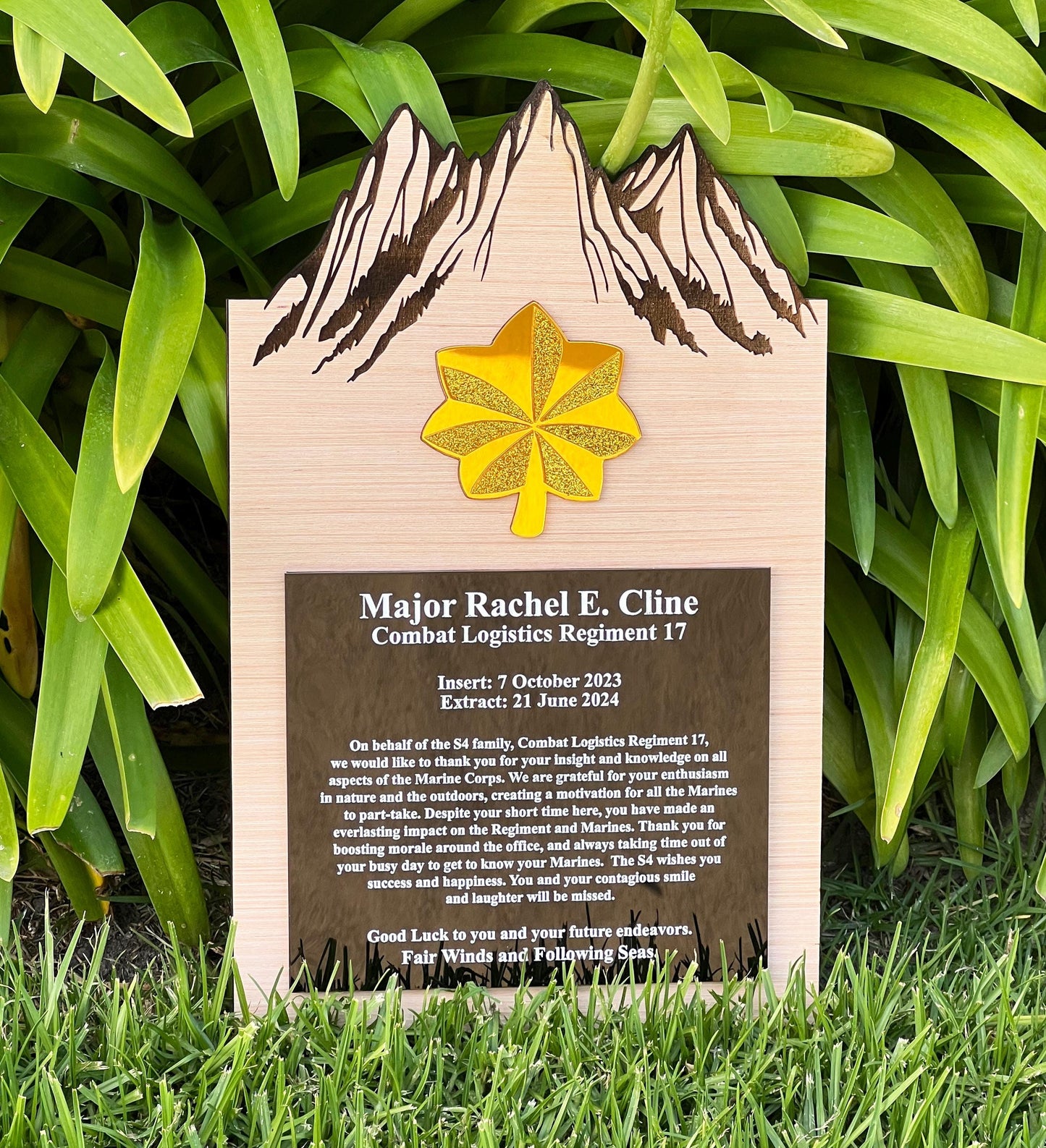 Marine corps plaques, Marine Corps retirement gift,  marine corps gift, USMC plaque, Marine retirement, Marine retired, USMC License #286-23