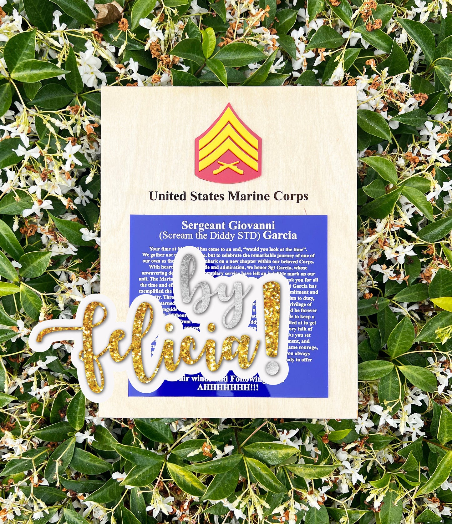 Marine Corps plaque, Marine Corps retirement gift, Marine Corps retired, Marine Corps gifts, USMC Retirement gift, USMC License #286-23