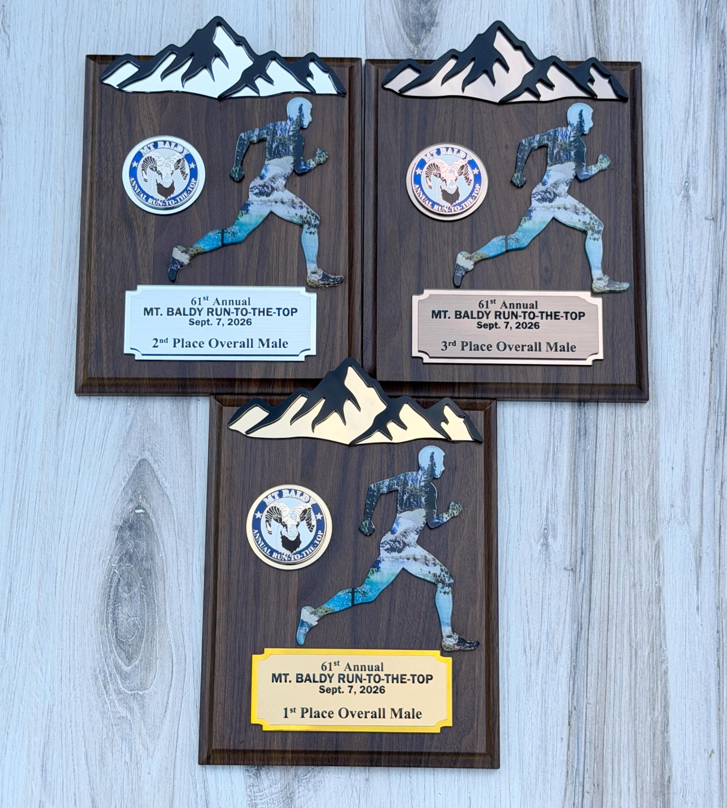 Runner Trophy, Runner award custom , Custum award trophy, Race award plaque, Award plaque custom, Awards and trophies, 1st place award