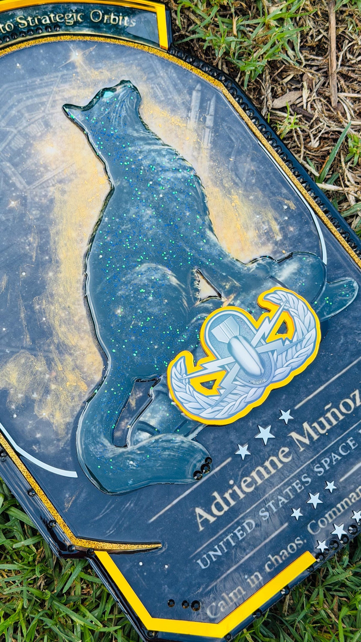Space Force plaque, Space force going away plaque, Space Force retirement, space force gift retirement, Space force going away gifts,