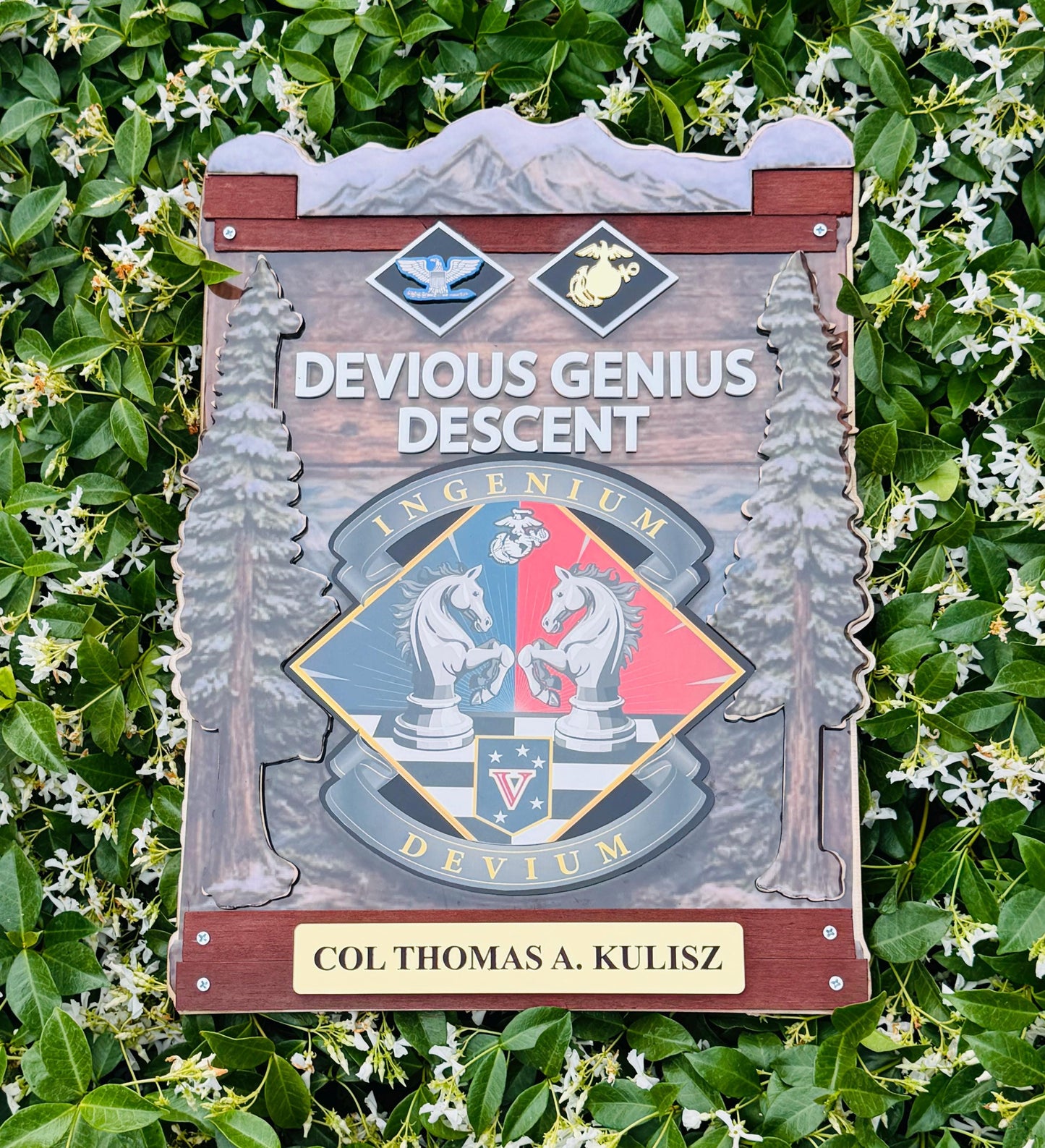 Marine corps plaques, Marine Corps retirement gift,  marine corps gift, USMC plaque, Marine retirement, Marine retired, USMC License #286-23