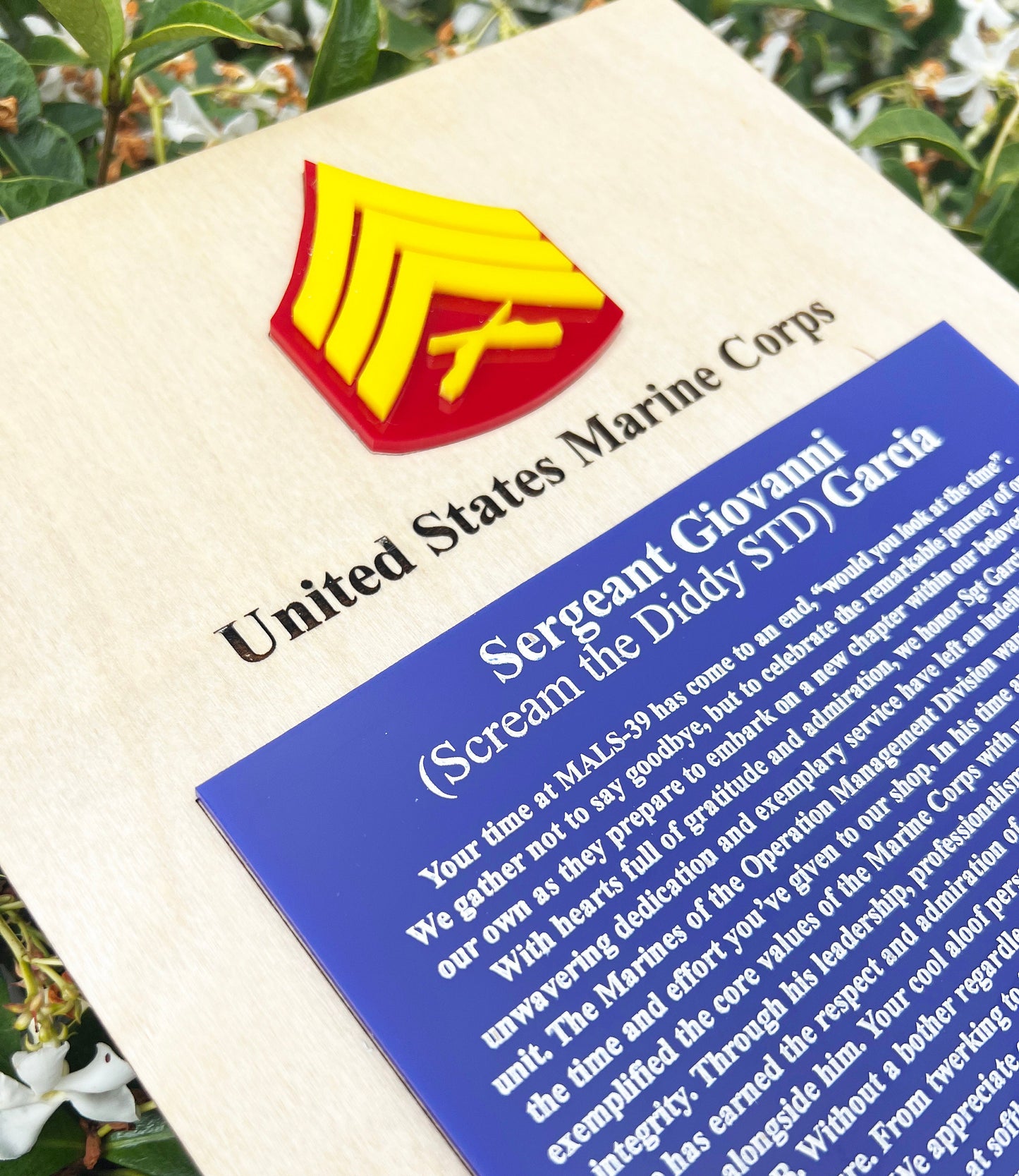 Marine Corps plaque, Marine Corps retirement gift, Marine Corps retired, Marine Corps gifts, USMC Retirement gift, USMC License #286-23