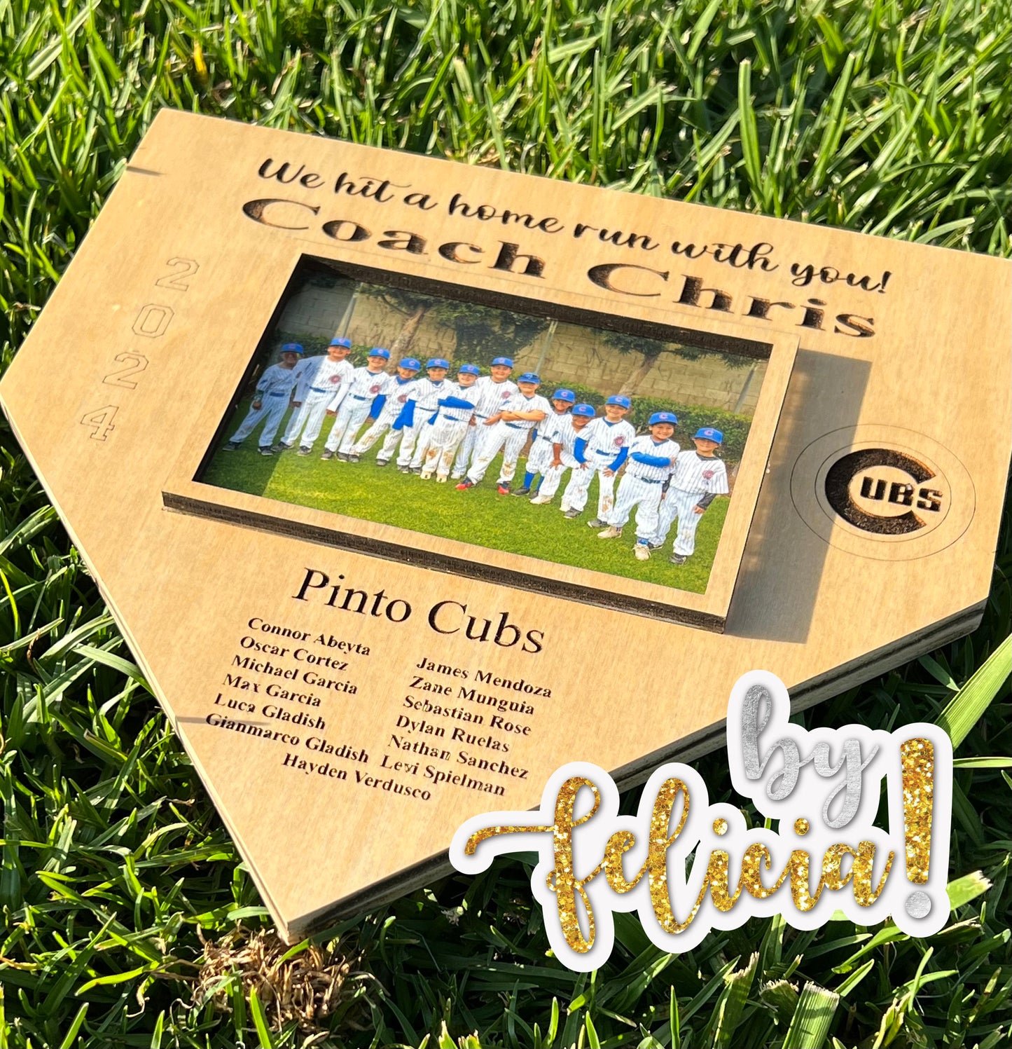 Personalized Baseball Coach Gift: Engraved Photo Frame