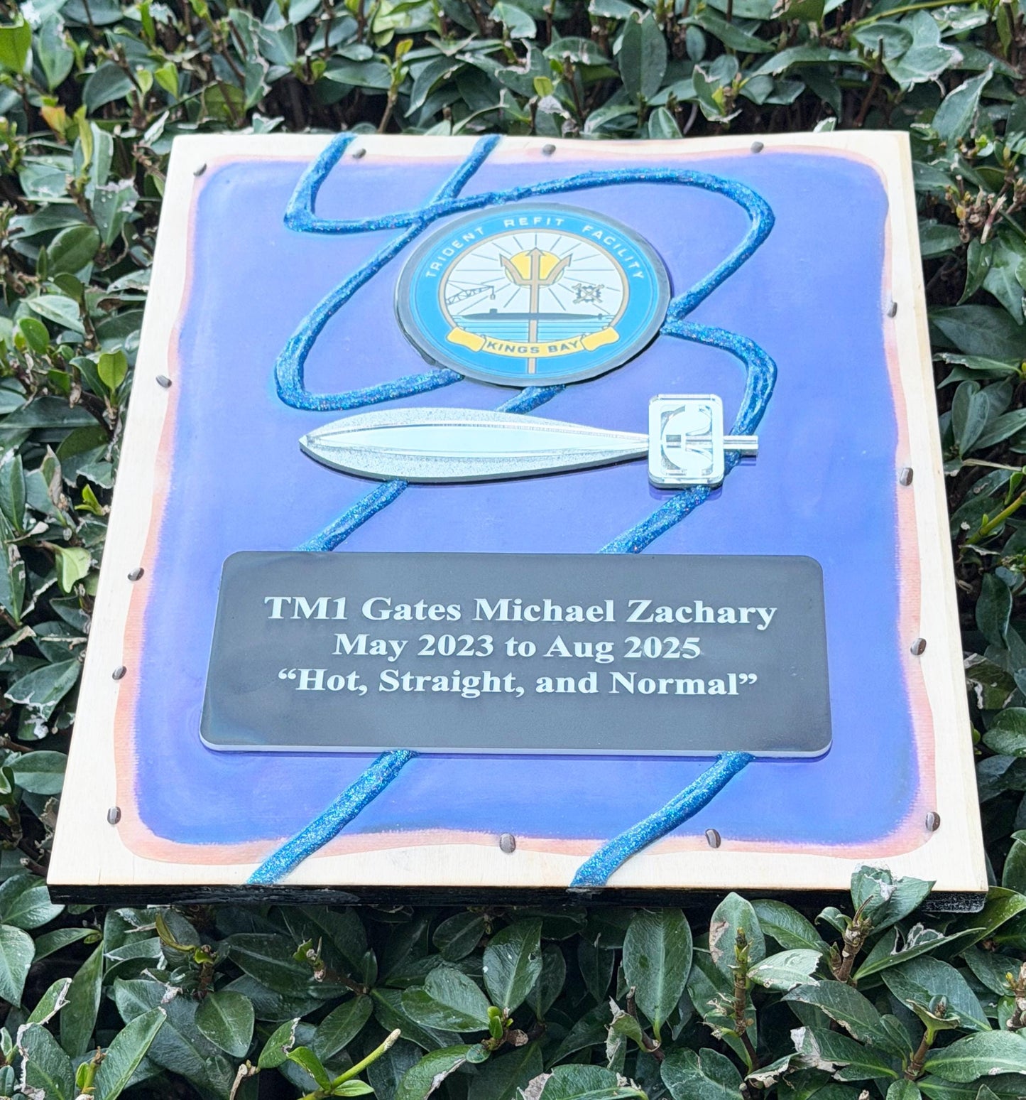 Navy plaques, Navy retirement gift, USN retirement gift, USN retired, Navy chief, Military plaques for retirement, Military plaque award