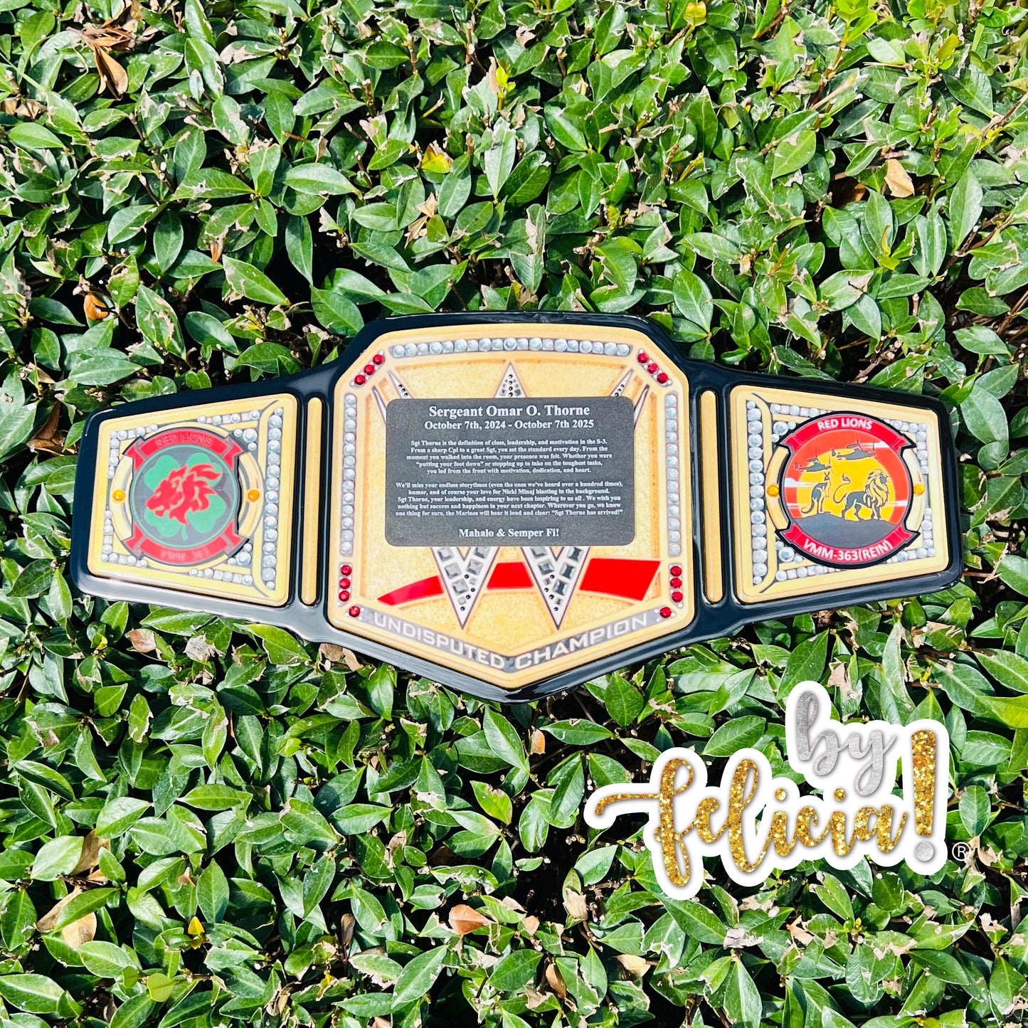 Handmade Marine Corps Retirement Plaque: USMC Veteran Gift