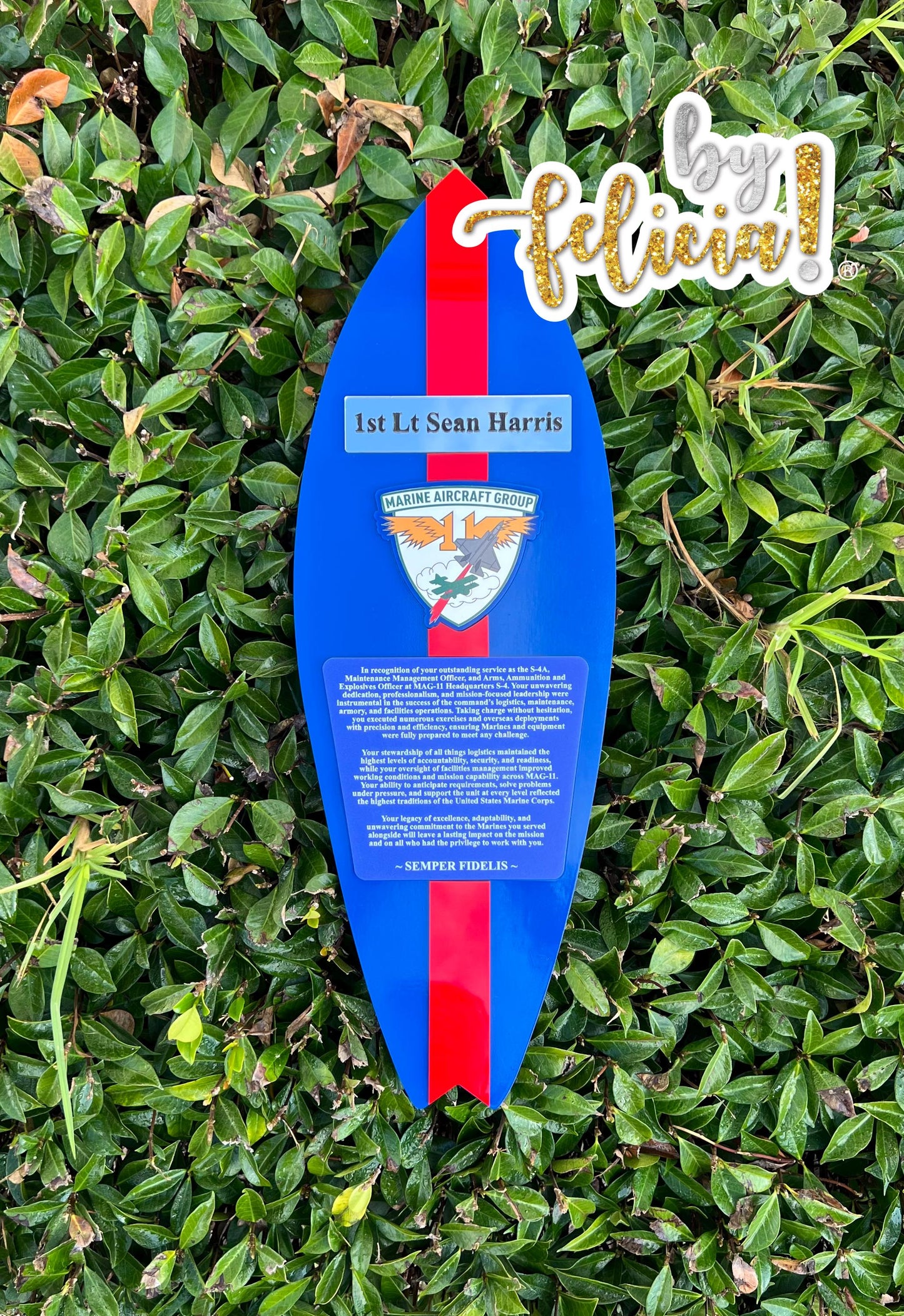 Handmade Marine Corps Plaque: USMC Retirement Gift