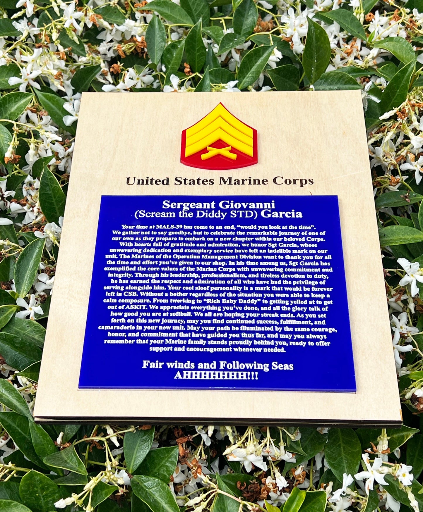 Marine Corps plaque, Marine Corps retirement gift, Marine Corps retired, Marine Corps gifts, USMC Retirement gift, USMC License #286-23