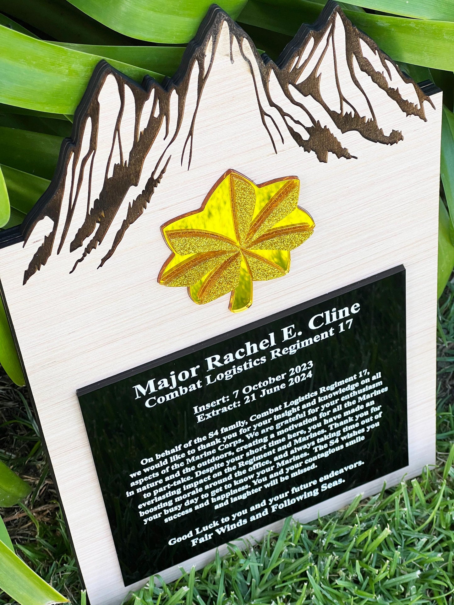 Marine corps plaques, Marine Corps retirement gift,  marine corps gift, USMC plaque, Marine retirement, Marine retired, USMC License #286-23