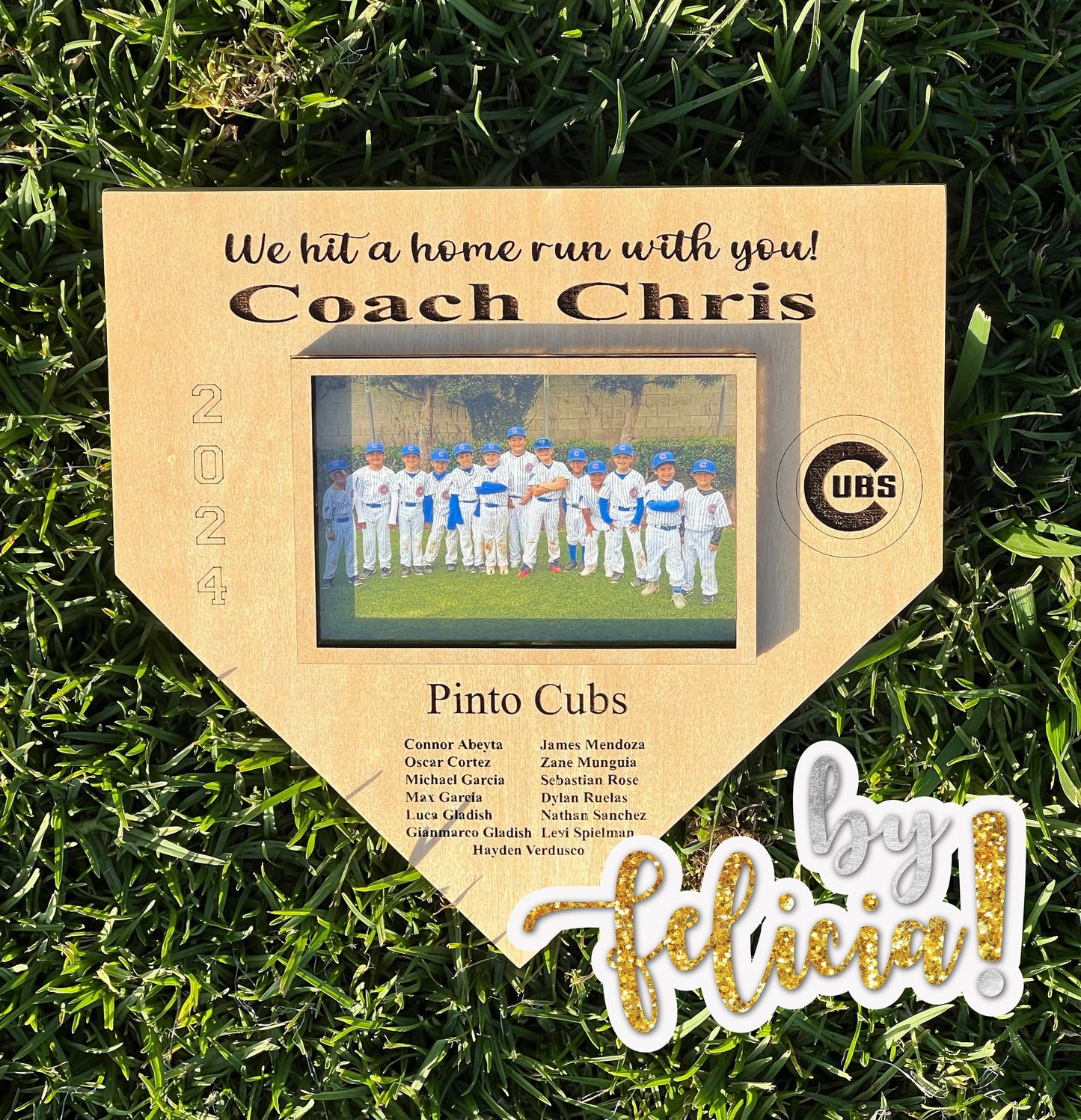 Personalized Baseball Coach Gift: Engraved Photo Frame