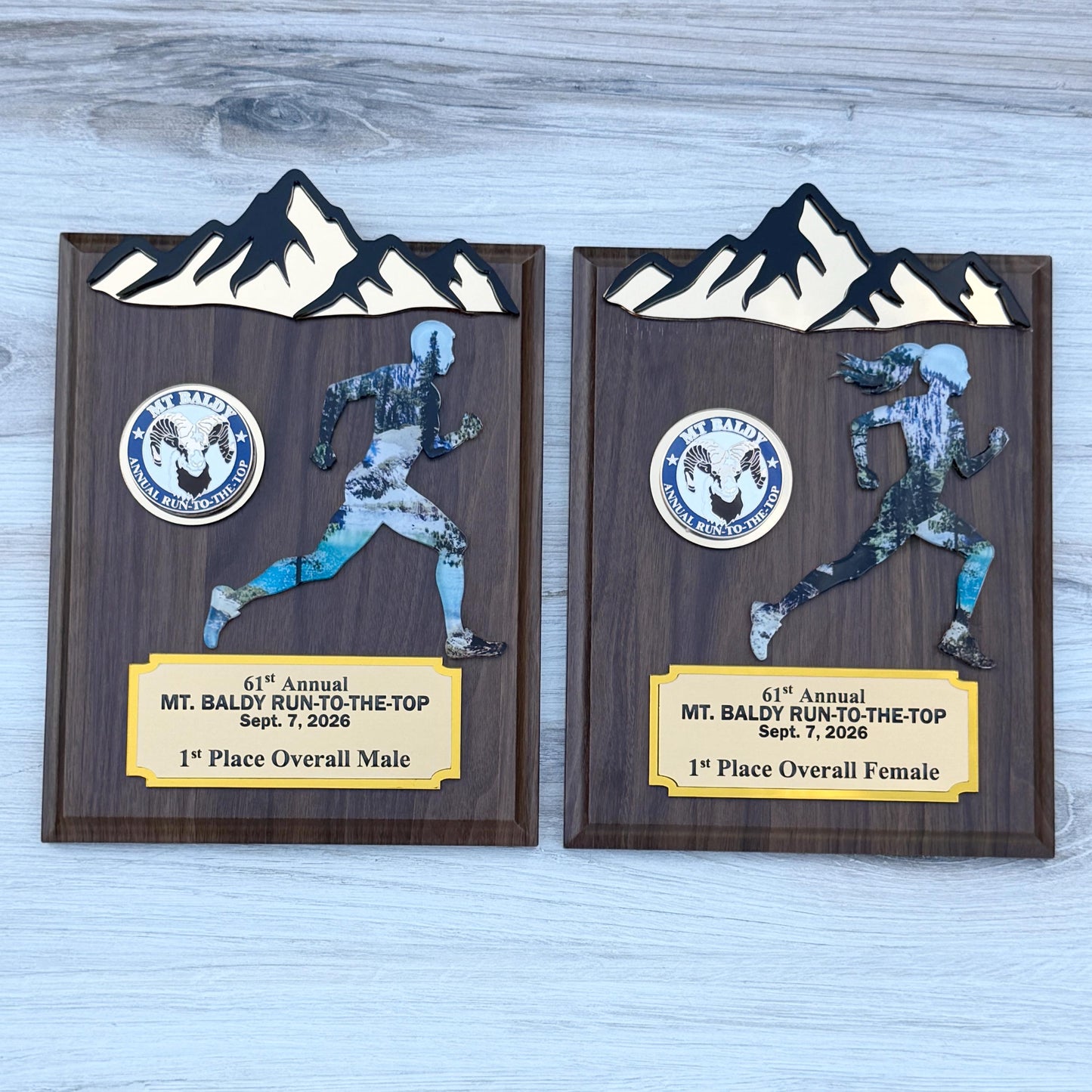 Runner Trophy, Runner award custom , Custum award trophy, Race award plaque, Award plaque custom, Awards and trophies, 1st place award