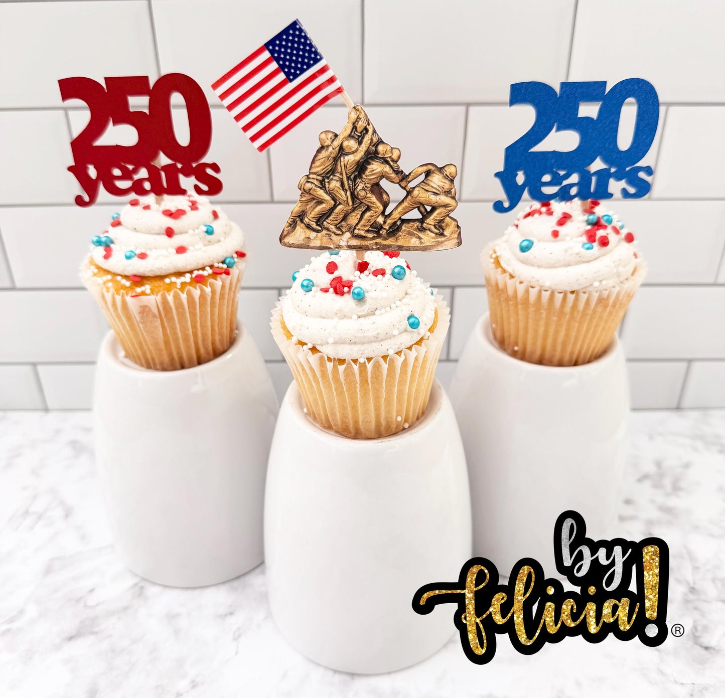 250th Marine Corps Birthday Cupcake Toppers: USMC Party Decorations