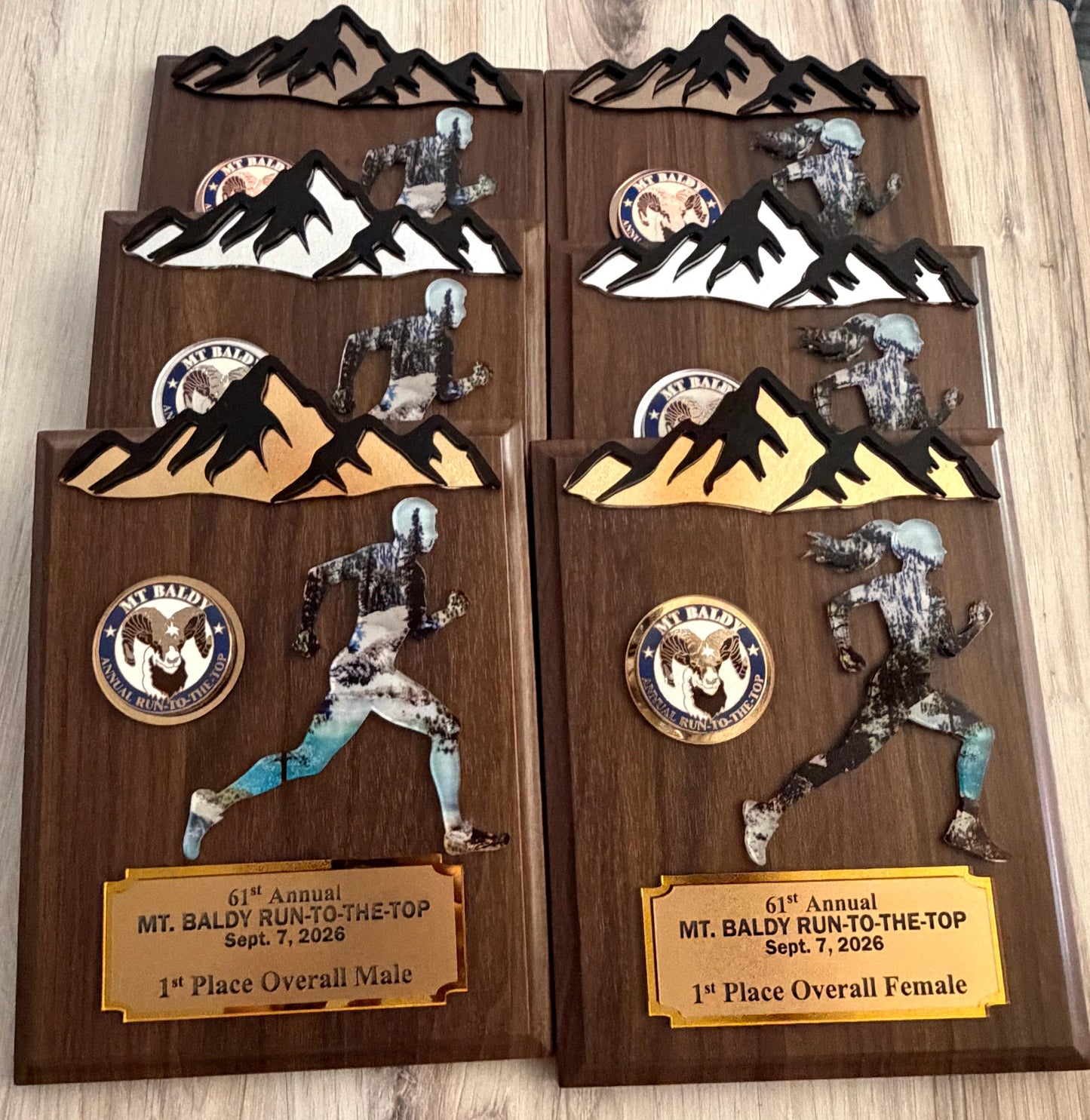 Runner Trophy, Runner award custom , Custum award trophy, Race award plaque, Award plaque custom, Awards and trophies, 1st place award