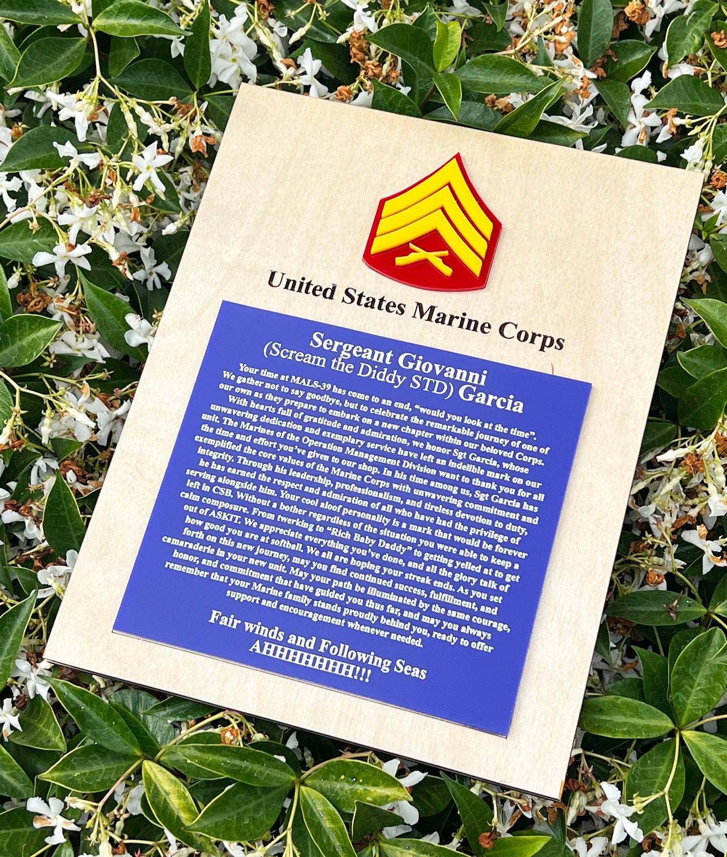 Marine Corps plaque, Marine Corps retirement gift, Marine Corps retired, Marine Corps gifts, USMC Retirement gift, USMC License #286-23