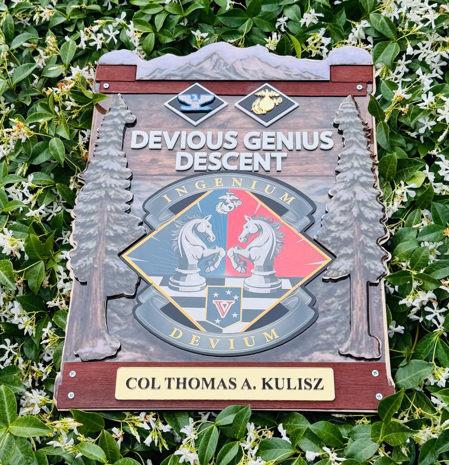 Marine corps plaques, Marine Corps retirement gift,  marine corps gift, USMC plaque, Marine retirement, Marine retired, USMC License #286-23