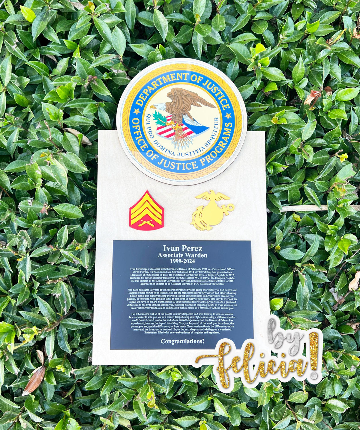 Marine corps plaques, Marine Corps retirement gift,  marine corps gift, USMC plaque, Marine retirement, Marine retired, USMC License #286-23
